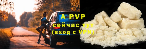 таблы Бородино