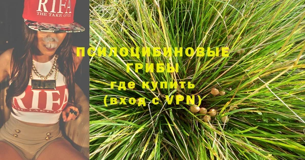 мяу мяу кристалл Богданович