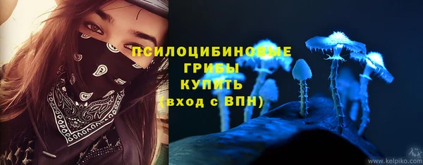 jwh Богородск