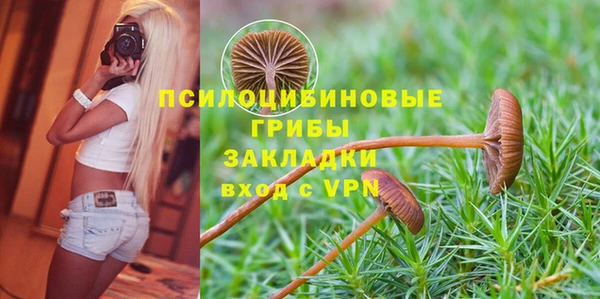 jwh Богородск