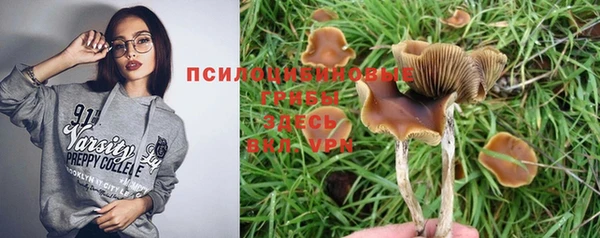 меф Богородицк