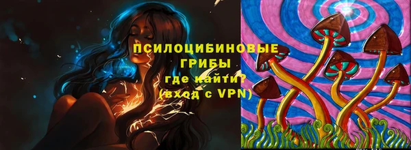 меф Богородицк