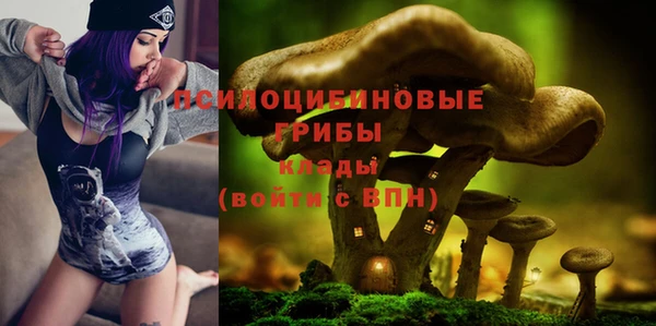 мяу мяу кристалл Богданович